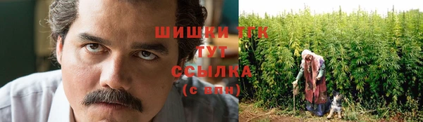 индика Козловка