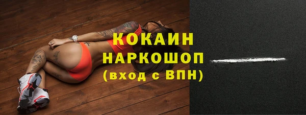 индика Козловка