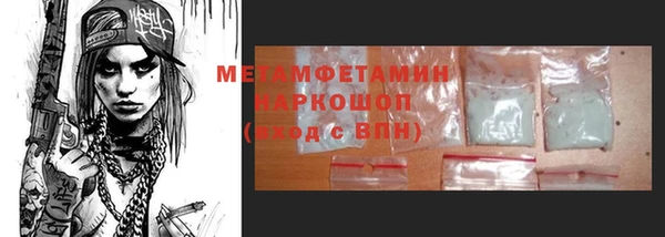 индика Козловка