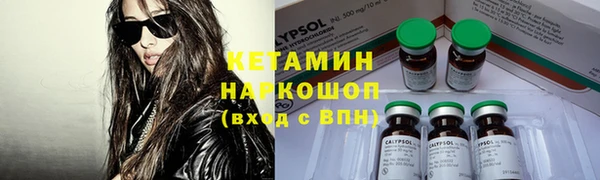 индика Козловка