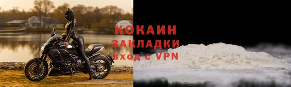 индика Козловка