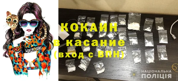 индика Козловка