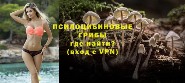 индика Козловка