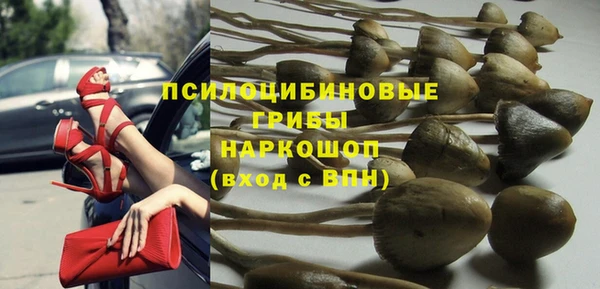 2c-b Кодинск
