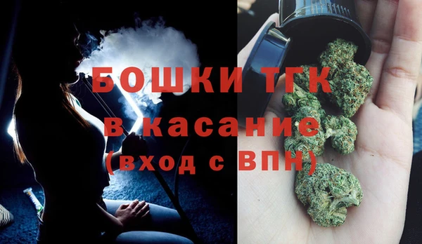 индика Козловка