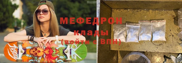 индика Козловка