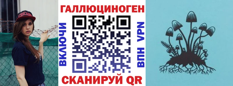 Купить где  Отрадный  Галлюциногенные грибы Psilocybine cubensis 