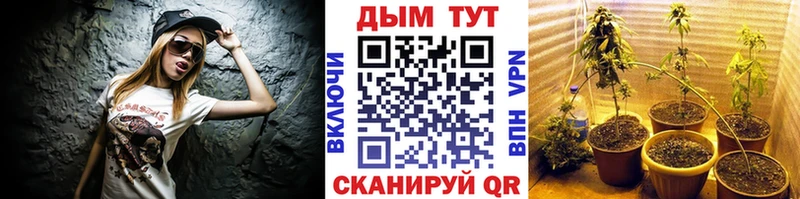 МАРИХУАНА марихуана  Купить закладки  Отрадный 